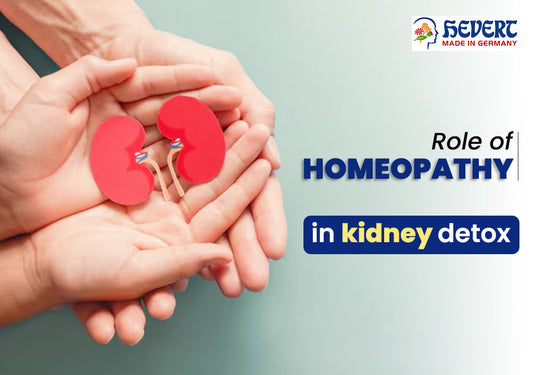 Role of homeopathy in kidney detox