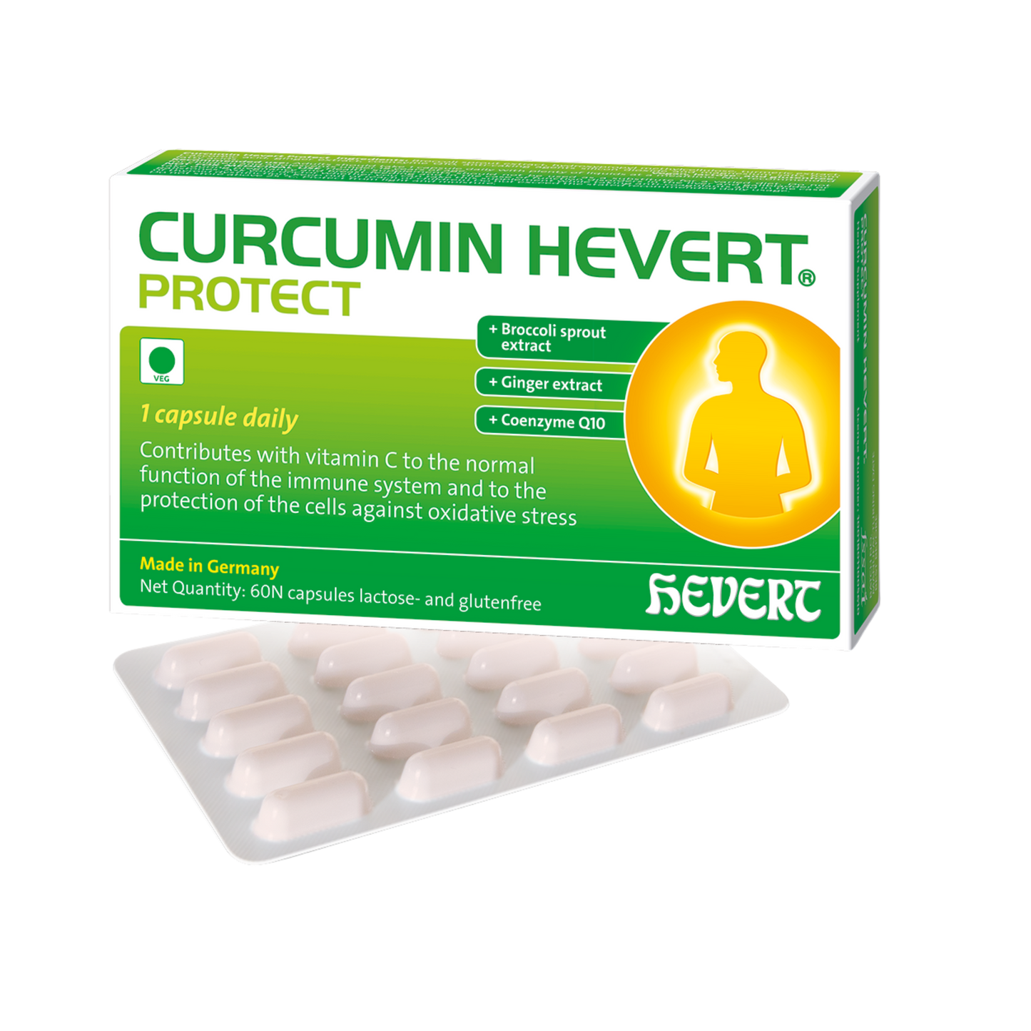 HEVERT CURCUMIN PROTECT